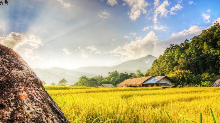 swc6007_8_9_tonemapped_tonemapped_tonemapped[1]